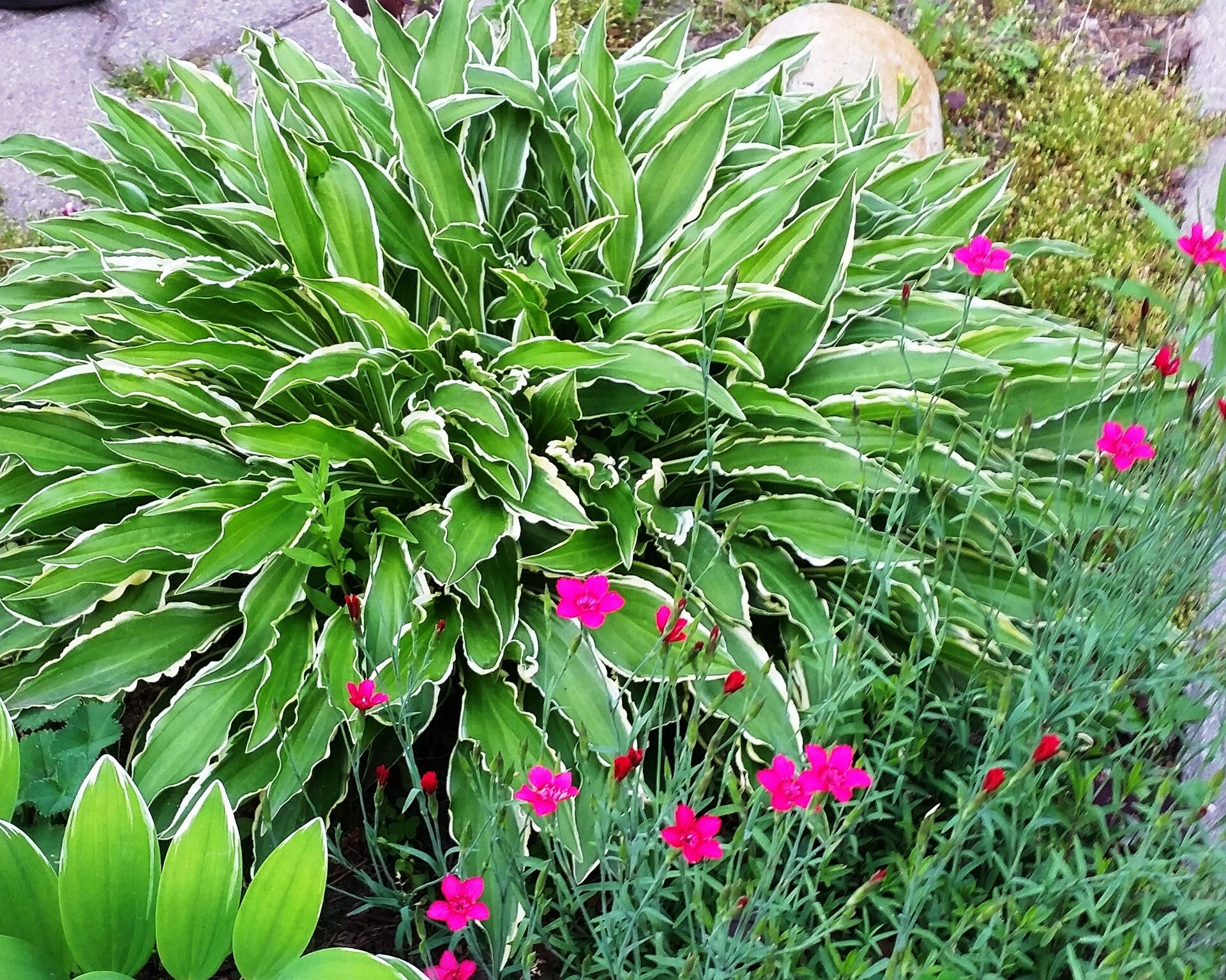 Проект Слава 1